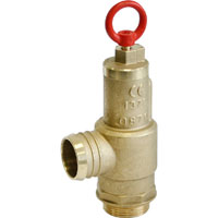 Safety Valves