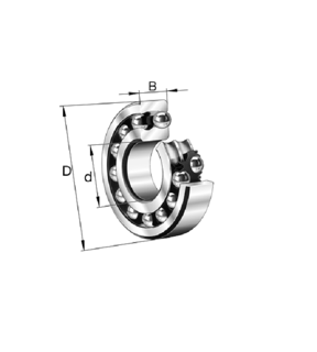 FAG D/R Self-Aligning Ball Bearing