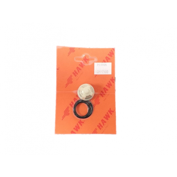 NMT1520 Valve & O’Ring (Each)