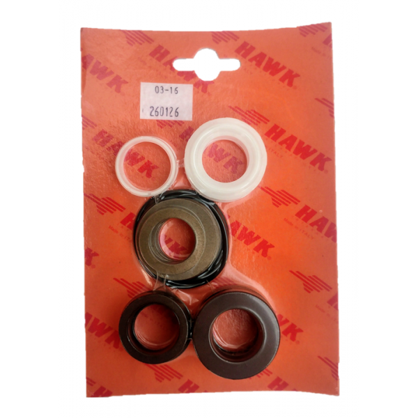 NLT2525 Head Seal Kit