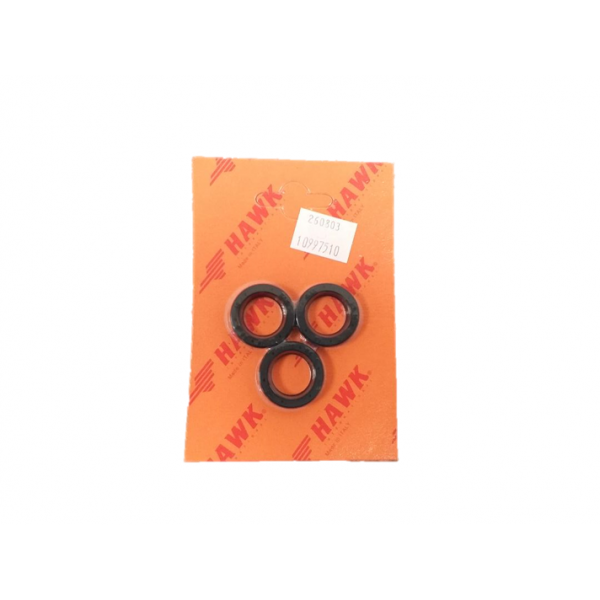 NMT Pump/Head Oil Seals (3)