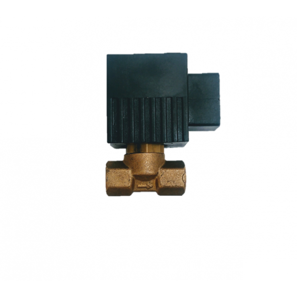 Fuel Solenoid Valve F84 24V