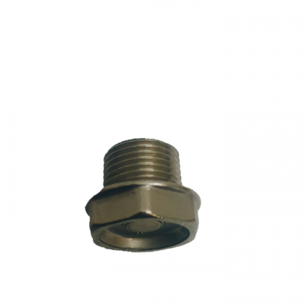 Valve Cap (WS201/2)