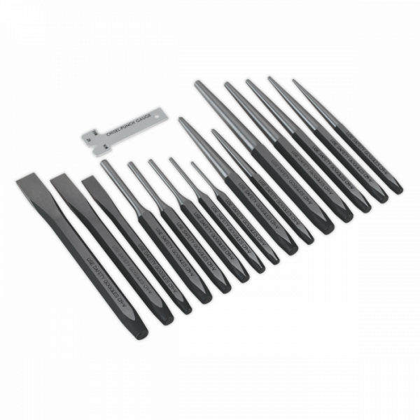 Punch & Chisel Set 16pc