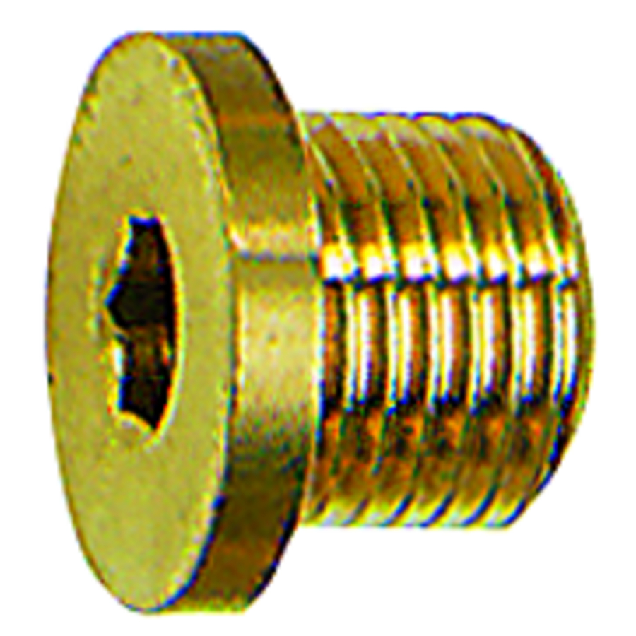 Hexagon socket screw plug with collar