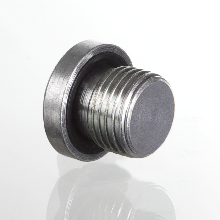 Blanking plug hex. socket AGM10x1-WD