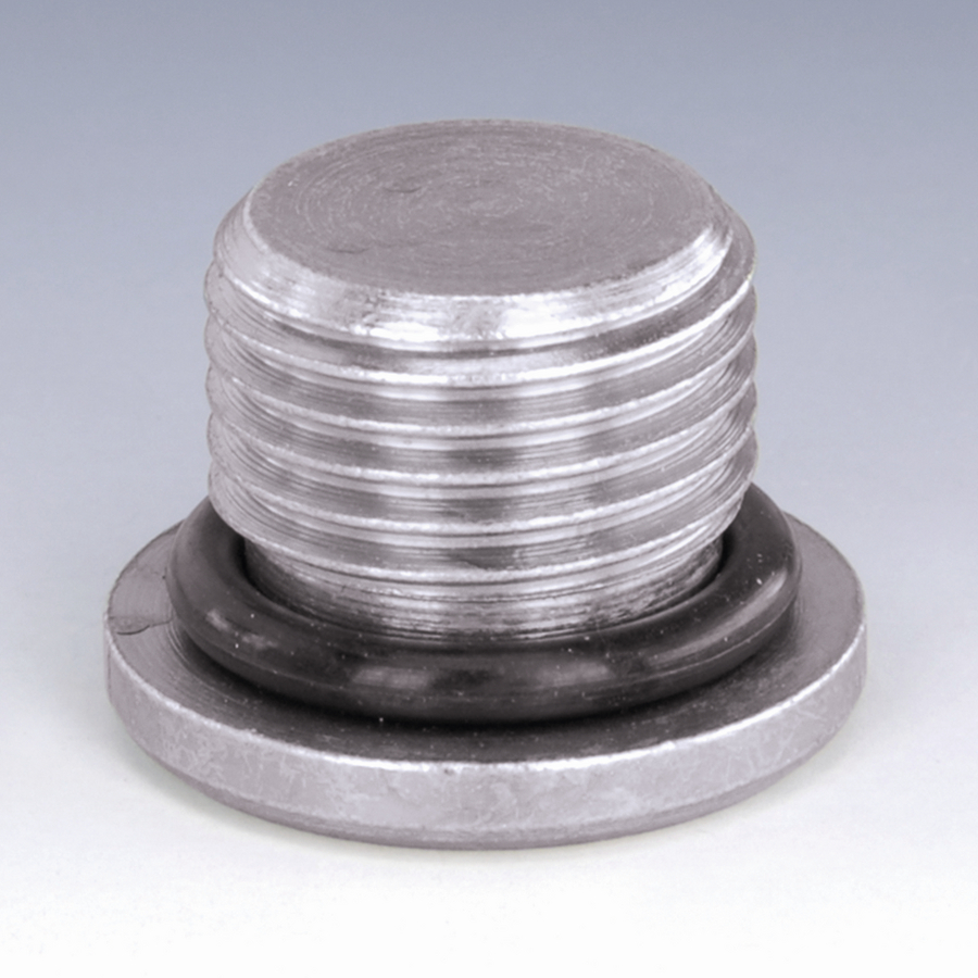 Blanking plug hex. socket AGM8x1-OR