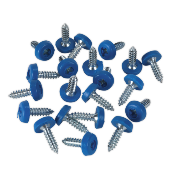 Numberplate Screw Plastic Enclosed Head 4.8 x 18mm Blue Pack of 50