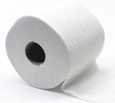 Toilet Paper Rolls Pk.48